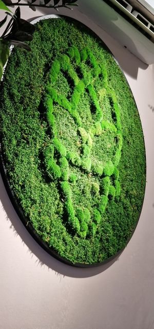  at Owca Cała in Poznan