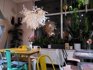  at Owca Cała in Poznan