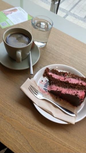 Raspberry Chocolate Cake at LUSH Cafe in Munich