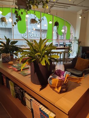  at LUSH Cafe in Munich