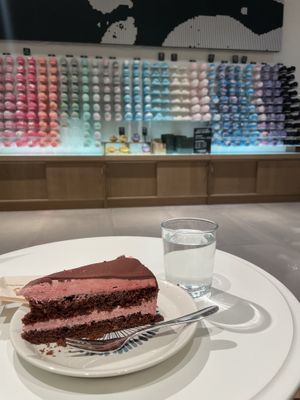 Delicious chocolate raspberry cake- all baked goods are from nearby bakery Siggis!  at LUSH Cafe in Munich