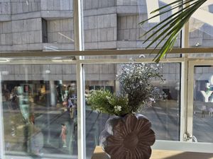 View at LUSH Cafe in Munich