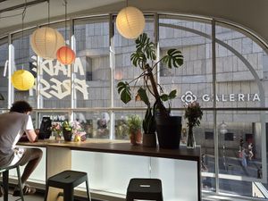 View and seating at LUSH Cafe in Munich