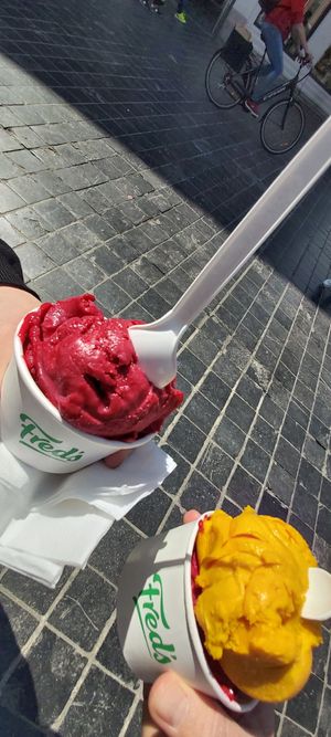 Veganes Sorbet at Fred's in Bruges