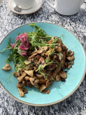 Mushrooms on sourdough   at The Factory Kitchen in Newcastle Upon Tyne