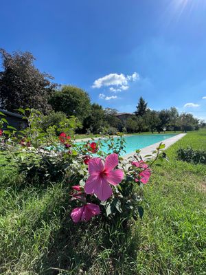Piscina at Mulin Visconti Agriturismo in Castelleone