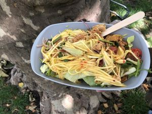 yammy crispy  at Vegany in Berlin