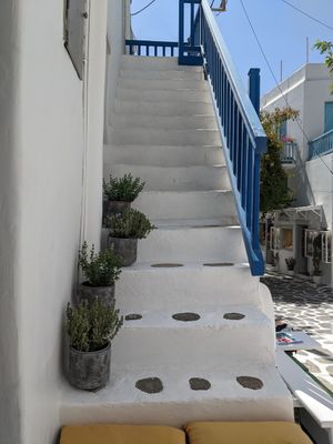 Cozy ambiance at Rhino Vegan Beat in Mykonos