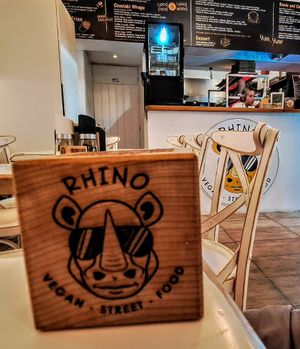 Rhino at Rhino Vegan Beat in Mykonos