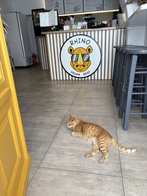   at Rhino Vegan Beat in Mykonos