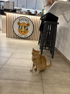   at Rhino Vegan Beat in Mykonos