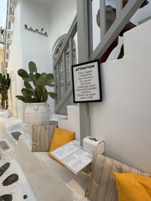   at Rhino Vegan Beat in Mykonos