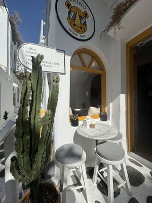   at Rhino Vegan Beat in Mykonos