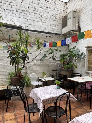   at La Ikas in Barcelona