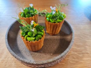 Starters at Magdalena in Rickenbach