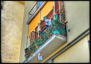 Tano dal suo Chiosco Volante  at Tripperia Vegana TAN8 - Flying Kiosk in Florence