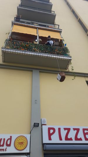  at Tripperia Vegana TAN8 - Flying Kiosk in Florence