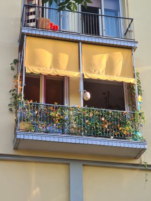 Ottimi panini vegani . at Tripperia Vegana TAN8 - Flying Kiosk in Florence