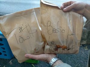  at Tripperia Vegana TAN8 - Flying Kiosk in Florence