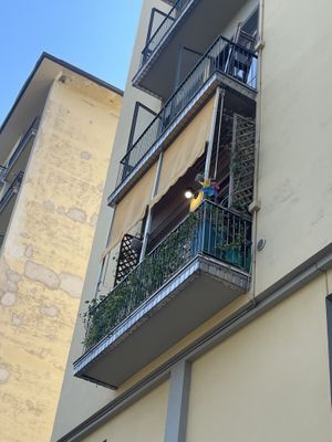   at Tripperia Vegana TAN8 - Flying Kiosk in Florence