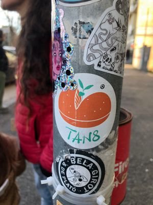  at Tripperia Vegana TAN8 - Flying Kiosk in Florence