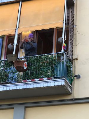  at Tripperia Vegana TAN8 - Flying Kiosk in Florence