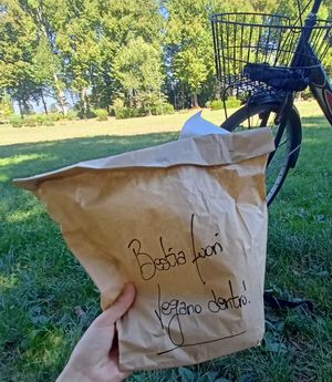  at Tripperia Vegana TAN8 - Flying Kiosk in Florence