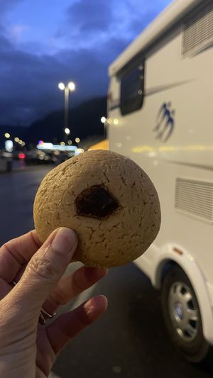 Biscotto con pezzi di cioccolato: fatti in casa, sono quello secchi e i pezzi di cioccolato sono belli grandi  #Veganuary at Tasty Veggies in Eguisheim