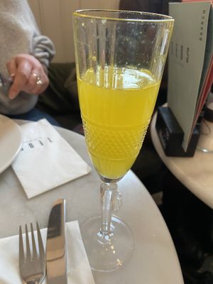 Mimosa  at TEDS - Jordaan in Amsterdam