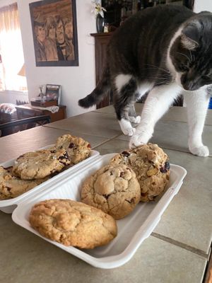   at Zero Cafe & Market in Belle Vernon