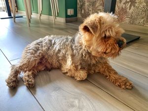 La nostra mascotte  at Mandrake  in Mazara Del Vallo