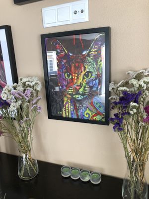 Cat lovers   at Cajual Vegan Foodsters in Loule