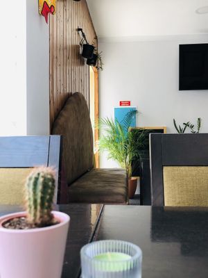 Acolhedor  at Cajual Vegan Foodsters in Loule