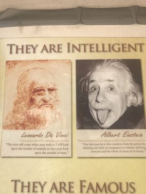 Picture on the van  at Loving Hut Express - Food Cart in Vancouver