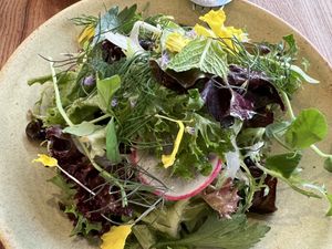 SAINTLY GREENS WITH RED WINE VINAIGRETTE  at Little Saint in Healdsburg
