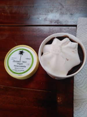  at The Coconut Tree in Birmingham