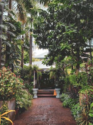  at Chanrey Tree in Siem Reap