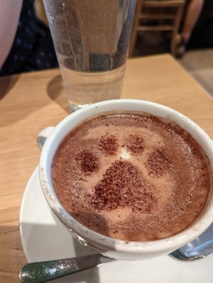  at Katzentempel - Leipzig Mitte in Leipzig