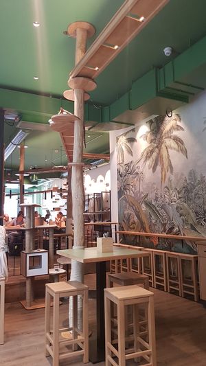 Interieur von ganz hinten at Katzentempel - Leipzig Mitte in Leipzig