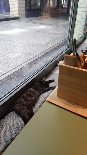 Alma :) at Katzentempel - Leipzig Mitte in Leipzig