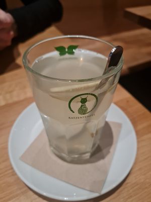 Ginger Tea at Katzentempel - Leipzig Mitte in Leipzig