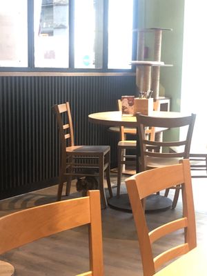 Inside   at Katzentempel - Leipzig Mitte in Leipzig