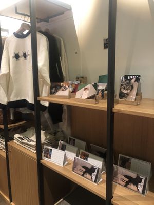 Merch   at Katzentempel - Leipzig Mitte in Leipzig
