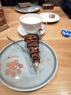 Tiramisu Cake at Katzentempel - Leipzig Mitte in Leipzig