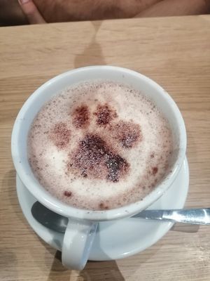 Hot Choclate at Katzentempel - Leipzig Mitte in Leipzig