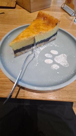  at Katzentempel - Leipzig Mitte in Leipzig