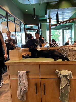  at Katzentempel - Leipzig Mitte in Leipzig