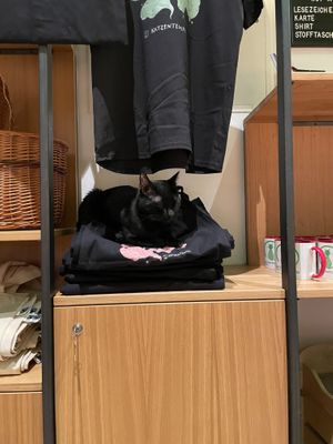  at Katzentempel - Leipzig Mitte in Leipzig