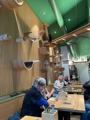  at Katzentempel - Leipzig Mitte in Leipzig