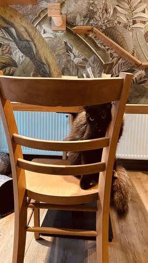   at Katzentempel - Leipzig Mitte in Leipzig